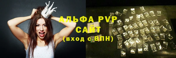 стаф Горняк