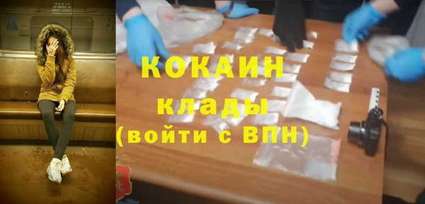 стаф Горняк