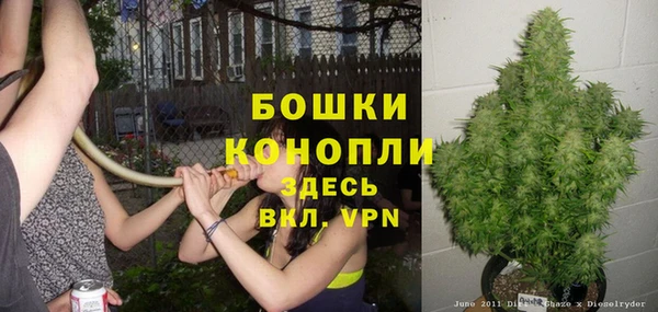 ГАЛЛЮЦИНОГЕННЫЕ ГРИБЫ Горно-Алтайск