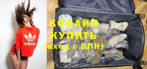 ГАЛЛЮЦИНОГЕННЫЕ ГРИБЫ Горно-Алтайск