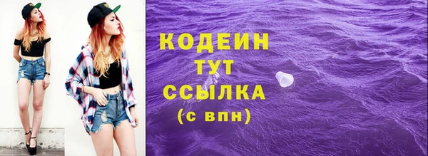 стаф Горняк