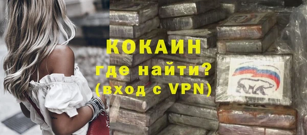 ГАЛЛЮЦИНОГЕННЫЕ ГРИБЫ Горно-Алтайск