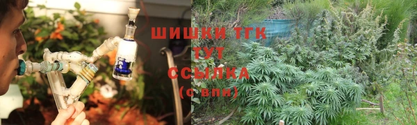 стаф Горняк