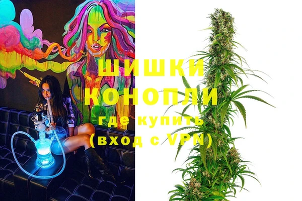 ГАЛЛЮЦИНОГЕННЫЕ ГРИБЫ Горно-Алтайск