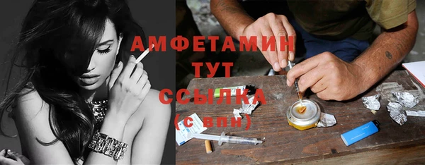 стаф Горняк