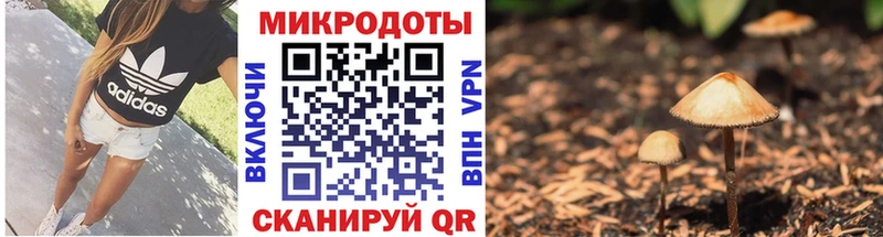 Псилоцибиновые грибы Cubensis  Купить  Лангепас 