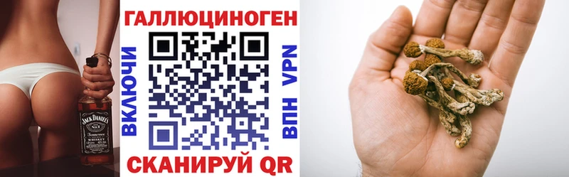 Псилоцибиновые грибы Cubensis Лангепас